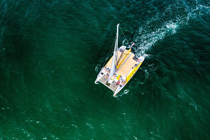 Dolphin Sightseeing Tour on the Footloose Catamaran - What you get for the $40 price (and what you’ll spend extra on)