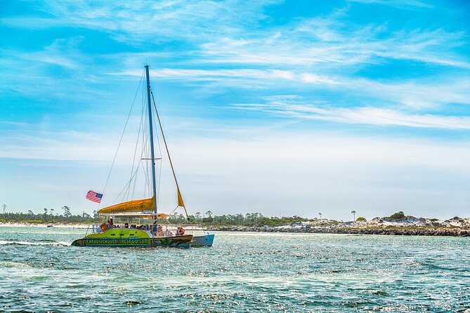Dolphin Sightseeing Tour on the Footloose Catamaran - How the group size affects your viewing comfort