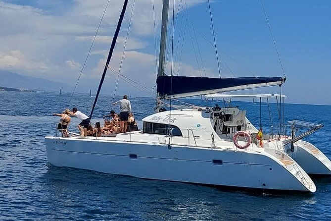 Dolphin trips on a catamaran - Key highlights before you go