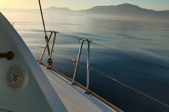 Dolphin trips on a catamaran - From Estepona Marina to Los Delfines: What the 2 Hours Feels Like