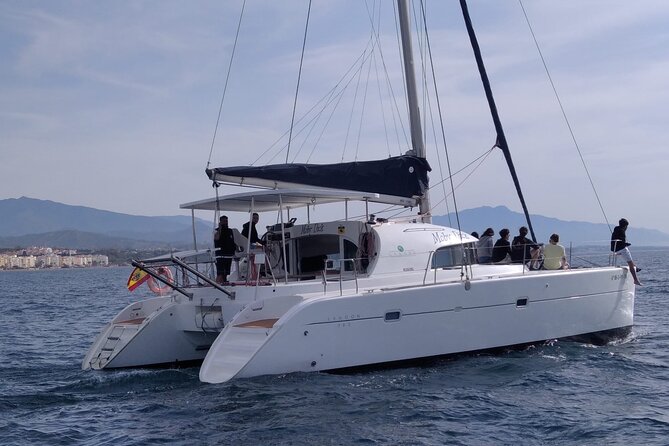 Dolphin trips on a catamaran - Timing From Marbella: Wind, Sea State, and Sailing Expectations