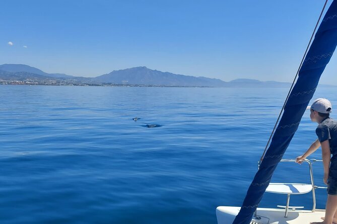 Dolphin trips on a catamaran - The Catamaran Setup: Lagoon Catamaran 380 and Small-Group Comfort
