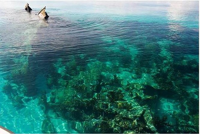 Dry Tortugas National Park Day Trip by Catamaran from Key West - Key Things To Know Before You Go
