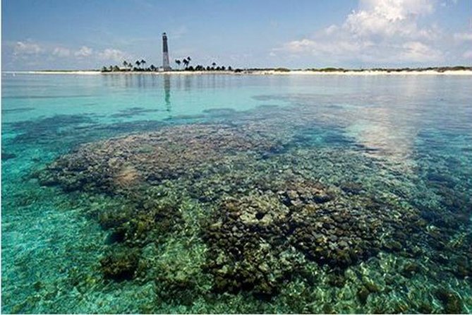 Dry Tortugas National Park Day Trip by Catamaran from Key West - On-Board Naturalist Narration And Crew Service