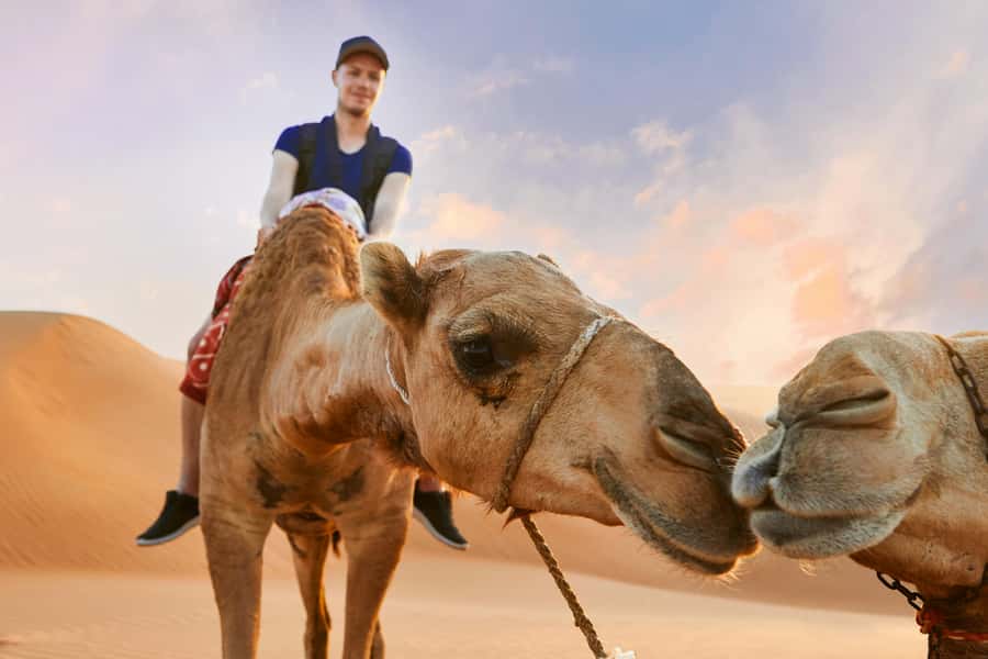 Dubai Waves & Dunes: Luxury Yacht Cruise w/ Red Dunes Safari - How Pickup, Timing, and Group Style Affect Your Day