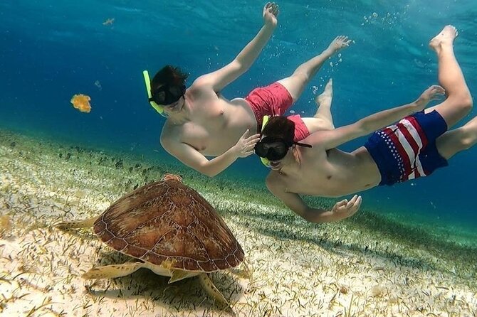 El Cielo Cozumel Snorkel tour by Catamaran - Key Things to Know Before You Go