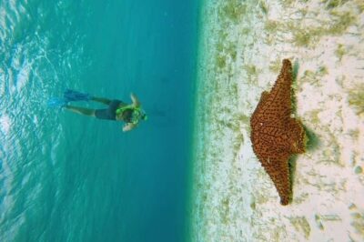 El Cielo Cozumel Snorkel tour by Catamaran - Catamaran Comfort and Crew Setup That Actually Helps