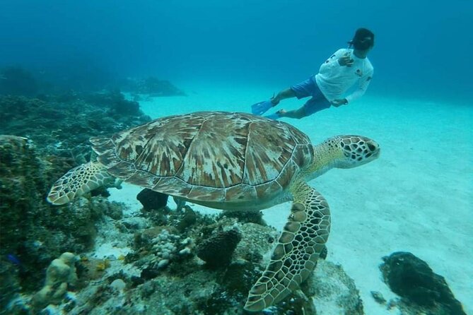 El Cielo Cozumel Snorkel tour by Catamaran - Price and Value: Why the Extra Marine Fee Matters