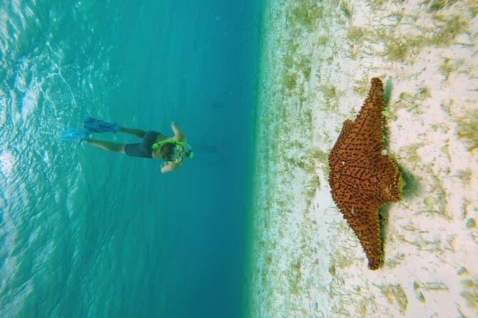 El Cielo Cozumel Snorkel tour by Catamaran - Catamaran Comfort and Crew Setup That Actually Helps