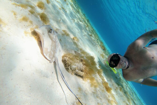 El Cielo Cozumel Snorkeling trip by Catamaran - Practical Tips Before You Go (That Actually Help)