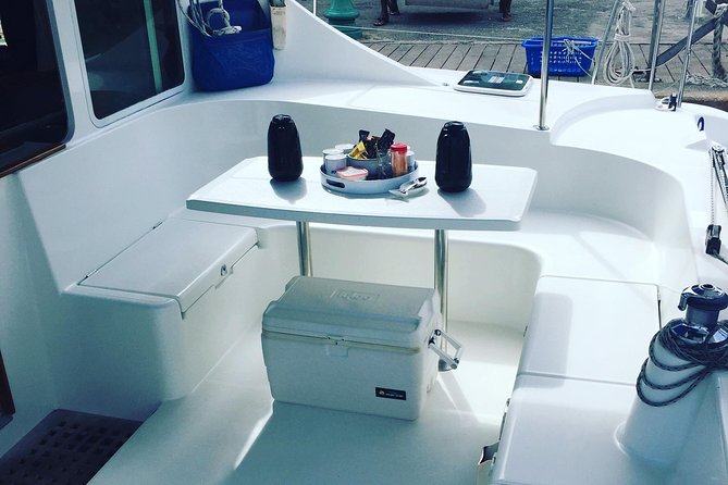 Elegance Catamaran turtles swim and lunch cruise - Key highlights at a glance