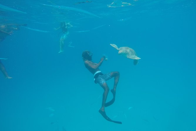 Elegance Catamaran turtles swim and lunch cruise - Crew and service: why the day feels easy