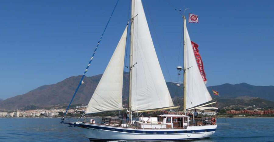 Estepona: Dolphin Watching Sailboat Cruise with Drink - Dolphin Watching in Estepona Bay: How the Captain Stacks the Odds