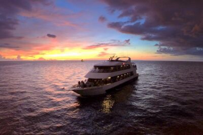Evening Yacht Cruise with Optional Dining in St. Petersburg - Two-Deck Night Cruise Energy in St. Petersburg