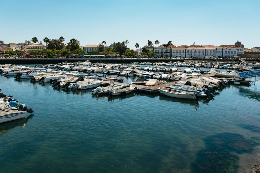 Faro: Deserta Island and Farol Island Catamaran Boat Trip - Ria Formosa channels: bird spotting that actually makes sense