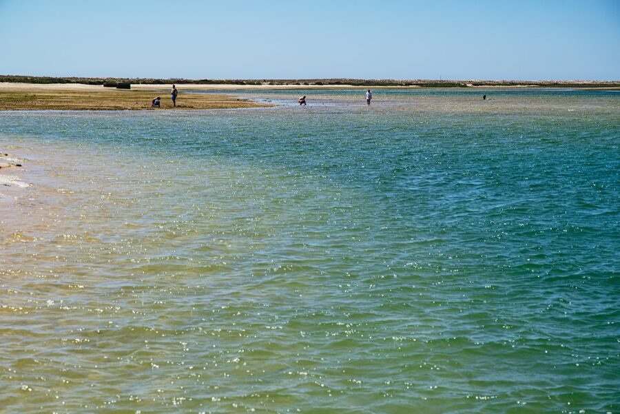 Faro: Deserta Island and Farol Island Catamaran Boat Trip - Farol Island and the Culatra Lighthouse area: best mix of stroll and swim