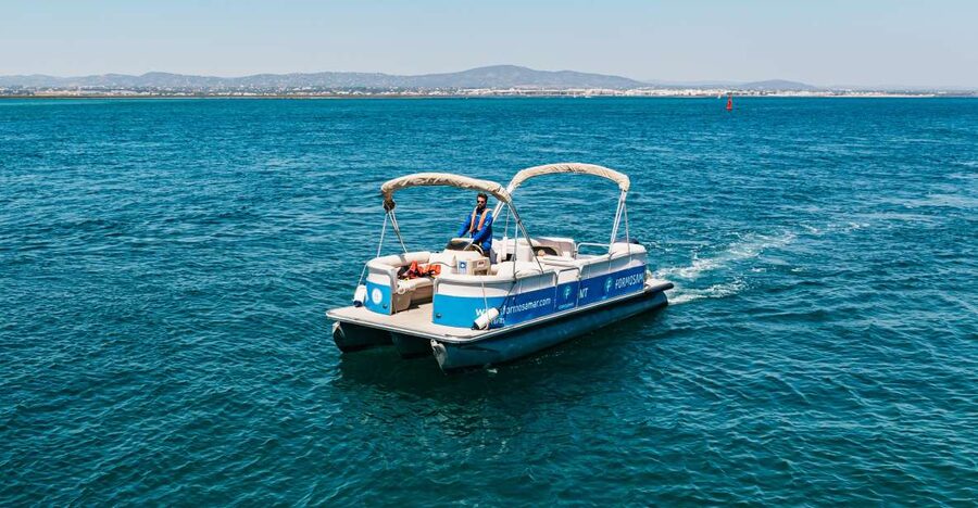 Faro: Deserta Island and Farol Island Catamaran Boat Trip - Price and value: is $47 per person actually a good deal?