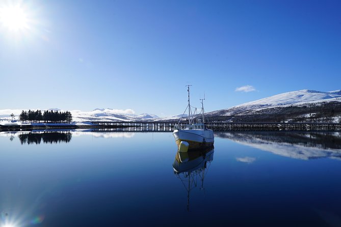 Fjordcruise in a Luxury Yacht Arctic Queen - Stop Near Tirpitz: WWII Reminders and the Low-Tide Factor