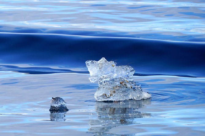 Fjordcruise in a Luxury Yacht Arctic Queen - Getting the Best Experience: Simple Tips That Matter