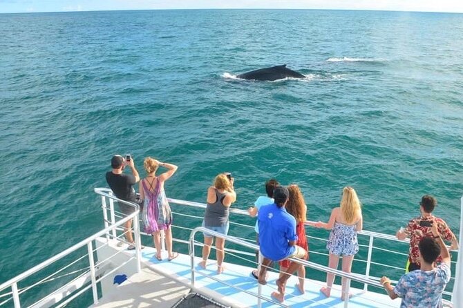 Flamingo Family Fun Catamaran Snorkel:Comfortable shaded seating - Getting to Planet Dolphin Catamaran Flamingo (and Finding Your Seat)