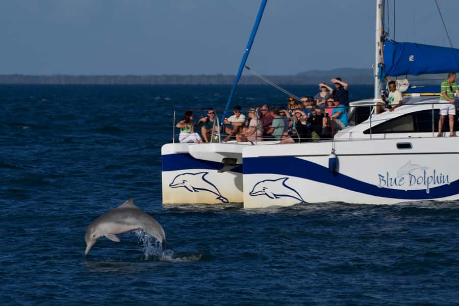 Fraser Island 4-Hour Eco-Sailing Adventure - On Board: Snacks, Drinks, WiFi, and Shaded Seats