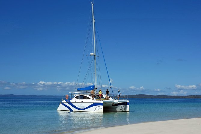 Fraser Island & Dolphin Sailing Adventure - Value Check on $78.90: Why This Price Feels Fair