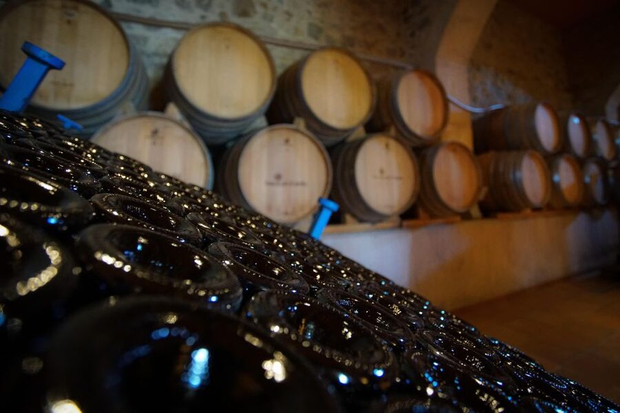 From Barcelona: E-Bike and Sailing Tour with Wine Tastings - Value check: is $100 worth it?