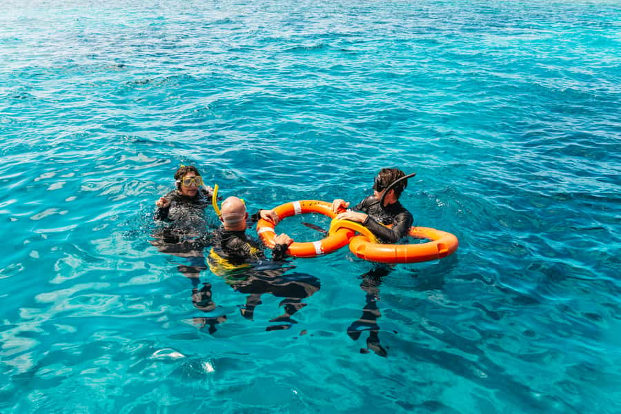 From Cairns: Great Barrier Reef Cruise by Premium Catamaran - Key things that make this reef day work