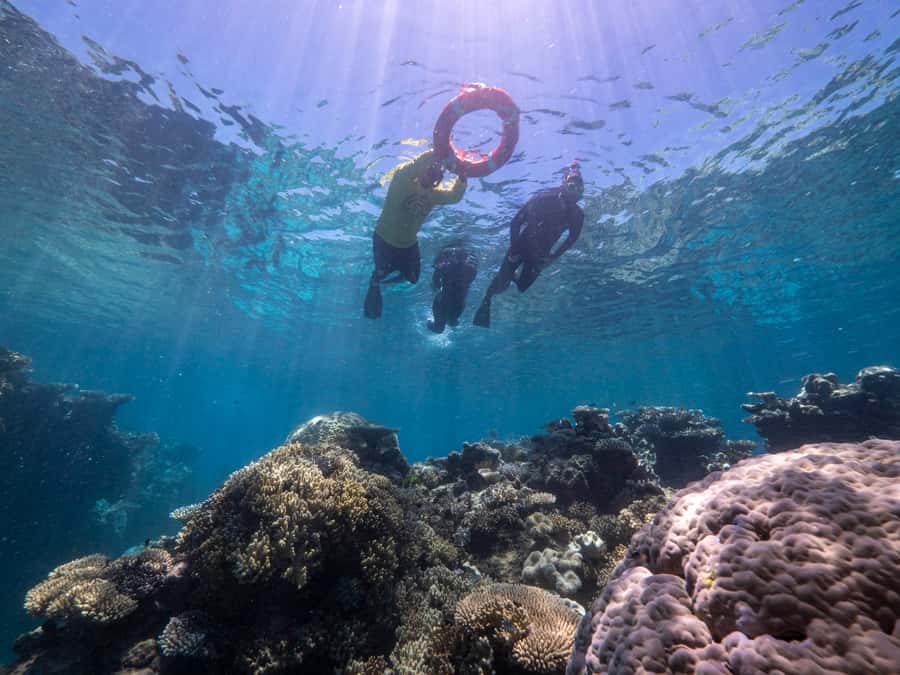 From Cairns: Great Barrier Reef Cruise by Premium Catamaran - What to bring (and what to leave at home)