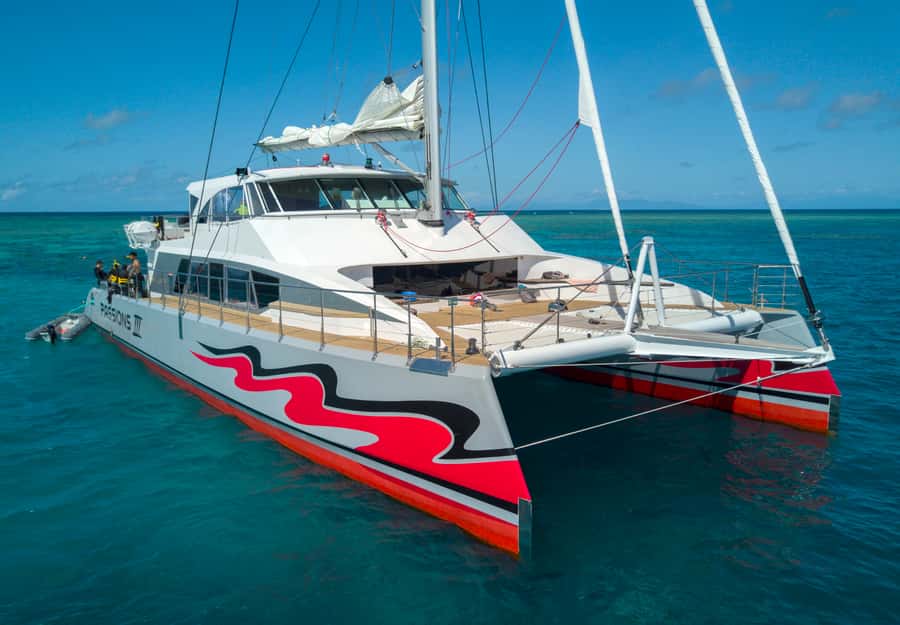 From Cairns: Great Barrier Reef Cruise by Premium Catamaran - Cairns morning logistics: getting on the boat without losing the day