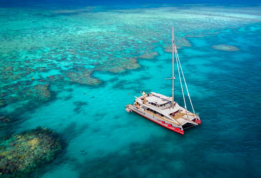 From Cairns: Great Barrier Reef Cruise by Premium Catamaran - First reef stop: snorkeling, swimming, and relaxing like a pro