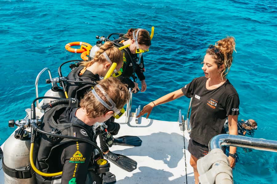 From Cairns: Great Barrier Reef Cruise by Premium Catamaran - Food on board: chef-prepared lunch that keeps energy up