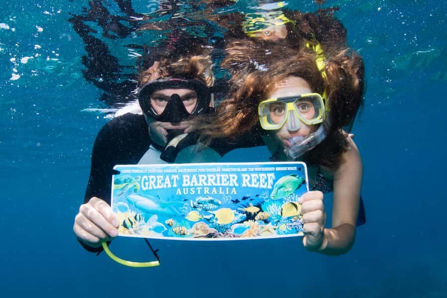 From Cairns: Great Barrier Reef Cruise by Premium Catamaran - Scuba sessions: what’s included, what’s not, and who’s eligible