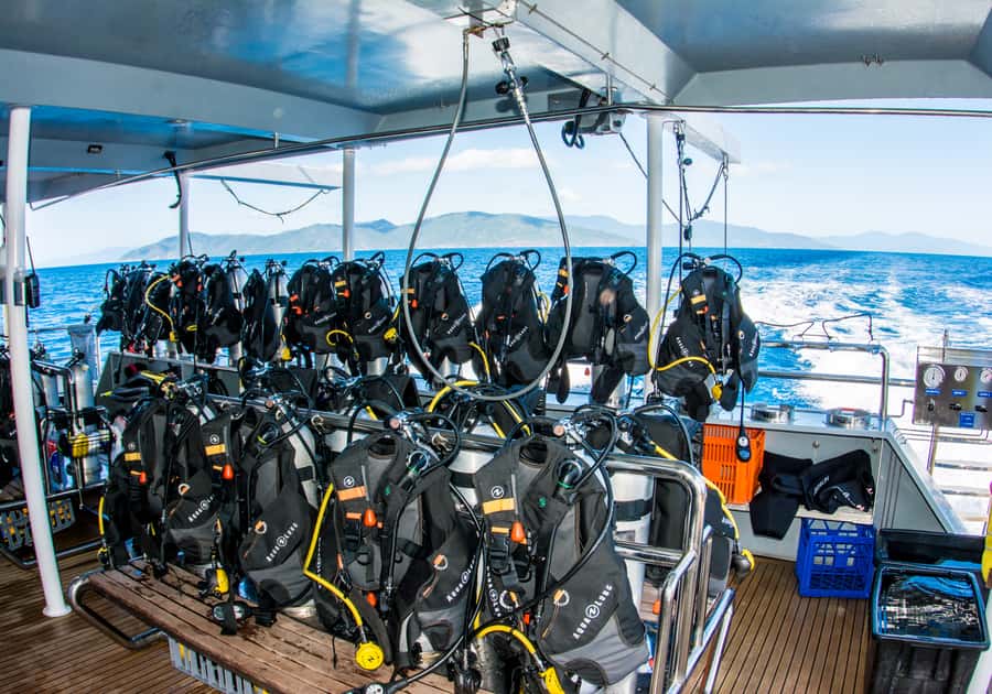 From Cairns: Great Barrier Reef Cruise by Premium Catamaran - Value for money at about $190 for nine hours