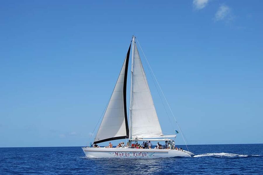 From Castries: Full-Day Catamaran Tour to Soufriere - Getting Sorted in Castries: Pickup, Transfer Time, and Getting On the Water