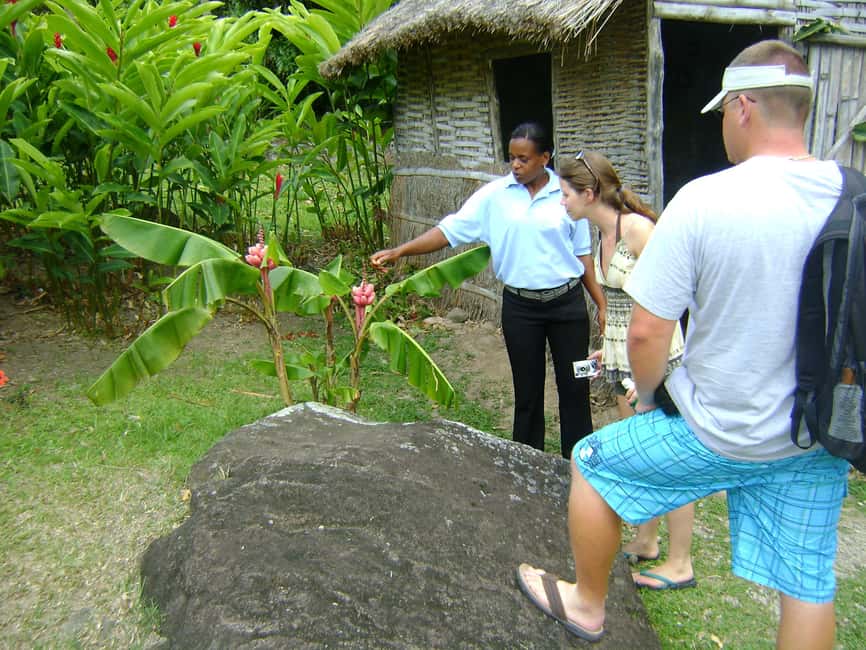 From Castries: Full-Day Catamaran Tour to Soufriere - Pitons Cruise-Past: When the Views Do the Selling