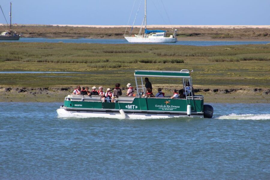From Faro: 2-Island, 2-Stop Ria Formosa Catamaran Tour - Guide quality and group size: the difference between “nice” and “great”