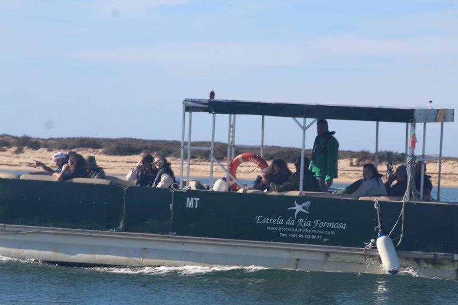 From Faro: 2-Island, 2-Stop Ria Formosa Catamaran Tour - Ria Formosa Natural Park: why this lagoon is worth your time