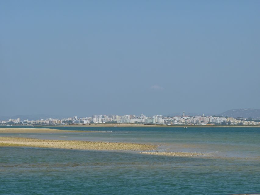 From Faro: 2-Island, 2-Stop Ria Formosa Catamaran Tour - Tides, timing, and the return cruise: why the way back feels different