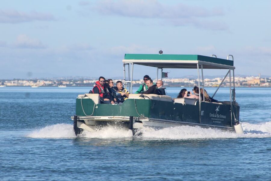 From Faro: 4 Stops, 3 Islands in Ria Formosa Catamaran Tour - Key Stops and Why They Matter
