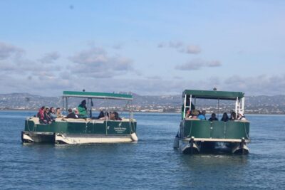 From Faro: 4 Stops, 3 Islands in Ria Formosa Catamaran Tour - Entering Ria Formosa by Boat: Channels, Marsh Edges, and Birds