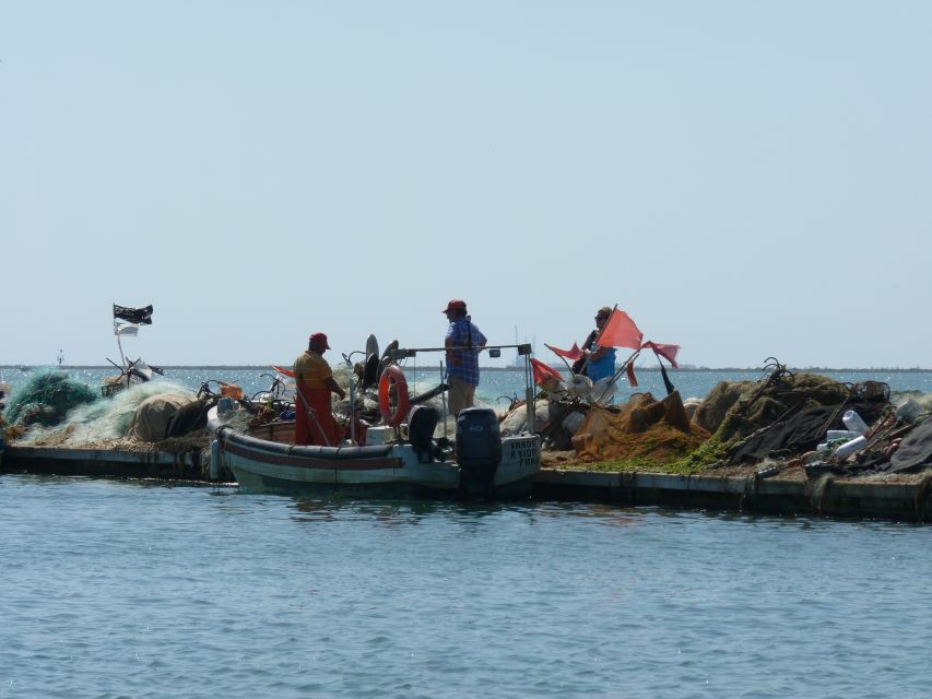 From Faro: 4 Stops, 3 Islands in Ria Formosa Catamaran Tour - Cape of St. Mary (Passing By): A Scenic Stretch You Don’t Need to Rush