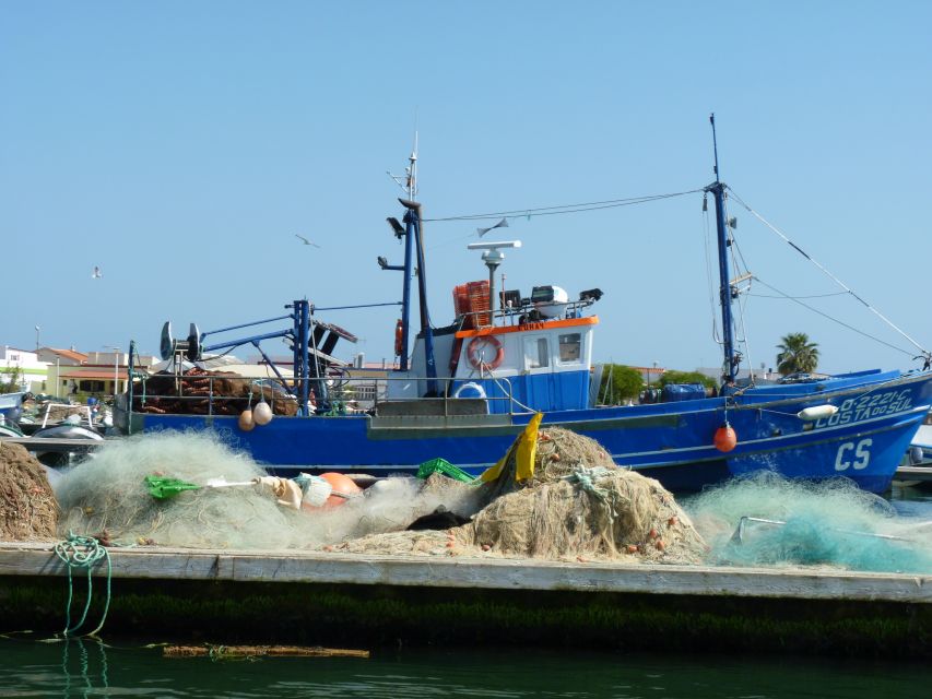 From Faro: 4 Stops, 3 Islands in Ria Formosa Catamaran Tour - Ilha do Farol (45 Minutes): Lighthouse Photos and Typical Algarve Houses