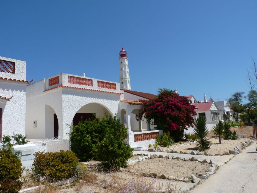 From Faro: 4 Stops, 3 Islands in Ria Formosa Catamaran Tour - Hangares Oyster Farming Stop (15 Minutes): Where the Food Comes From