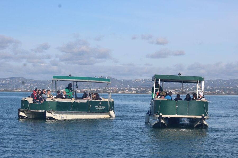 From Faro: 4 Stops, 3 Islands in Ria Formosa Catamaran Tour - Entering Ria Formosa by Boat: Channels, Marsh Edges, and Birds