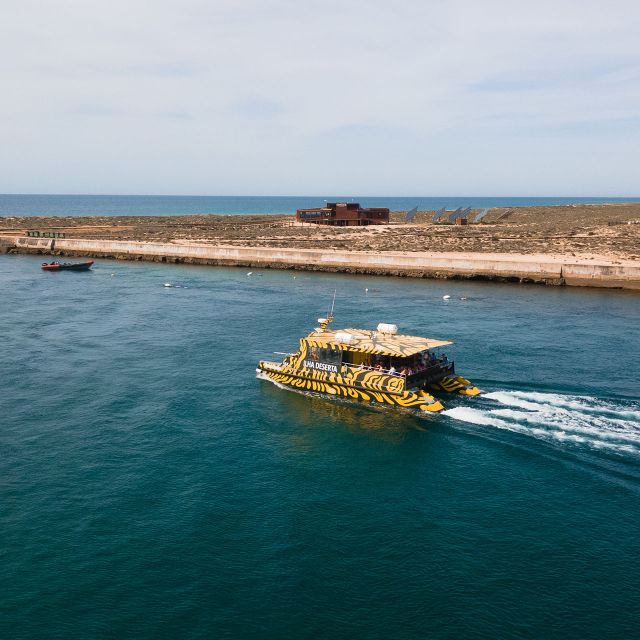 From Faro: Catamaran Boat Trip to Deserta Island with Stop - Why Ilha Deserta feels like a different Algarve