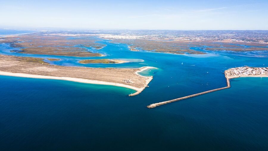From Faro: Catamaran Boat Trip to Deserta Island with Stop - Price and value: why $11 can feel like a steal