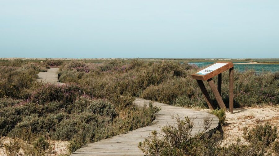 From Faro: Catamaran Boat Trip to Deserta Island with Stop - Should you book this catamaran trip?