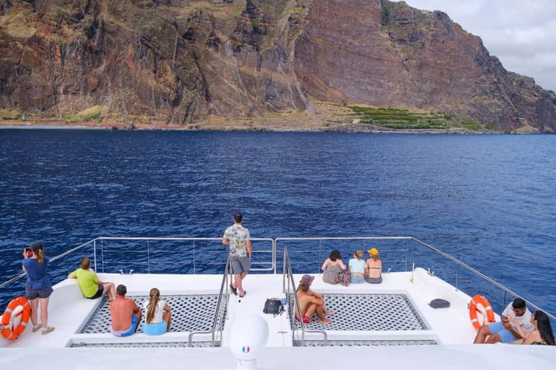 From Funchal: Ecological Catamaran Dolphin Whale Watching - Why this eco catamaran from Funchal works for real dolphin and whale watching