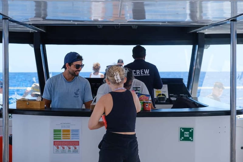 From Funchal: Ecological Catamaran Dolphin Whale Watching - Should you book Magic Dolphin Eco Catamaran Dolphin and Whale Watching?